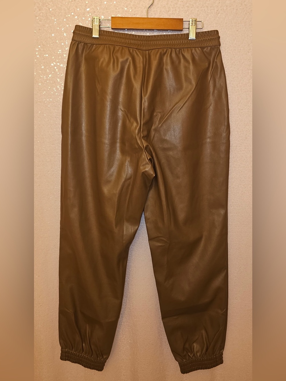 Brown Faux Leather Jogger Pants - Classic Casual - Picture 2 of 2